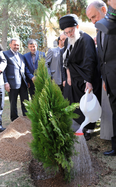 کاشت نهال همزمان با هفته منابع طبیعی