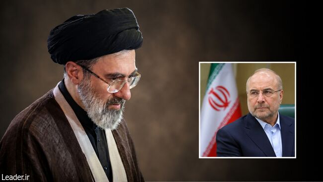 دیدار رئیس مجلس شورای اسلامی، با رهبر معظم انقلاب اسلامی سابقه