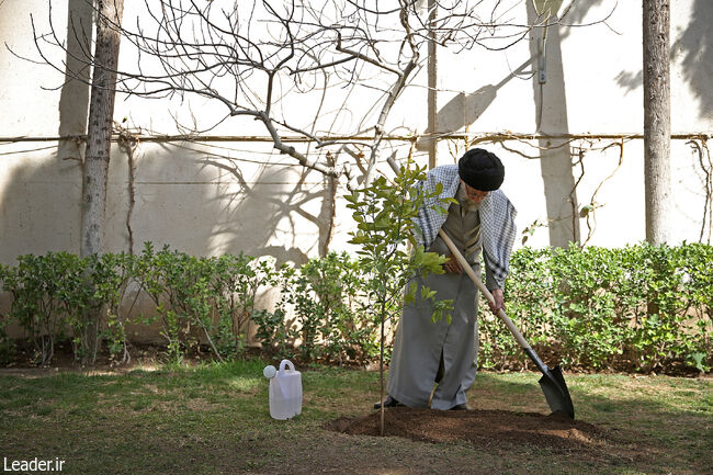The Leader of the Islamic Revolution planted three saplings on Arbor Day