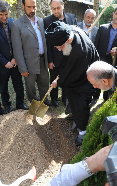 کاشت نهال همزمان با هفته منابع طبیعی