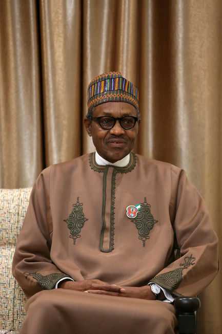 دیدار رییس جمهوری نیجریه و هیات همراه