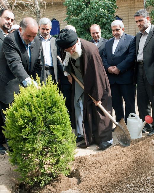  کاشت دو اصله نهال همزمان با هفته منابع طبیعی