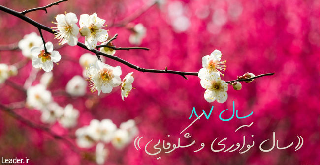 سال 1387: نوآوری و شکوفایی